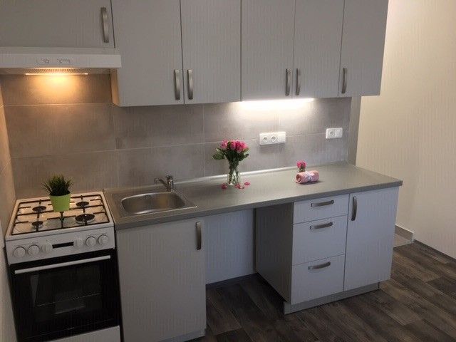 Pronájem bytu 1+1 36 m² - foto 1