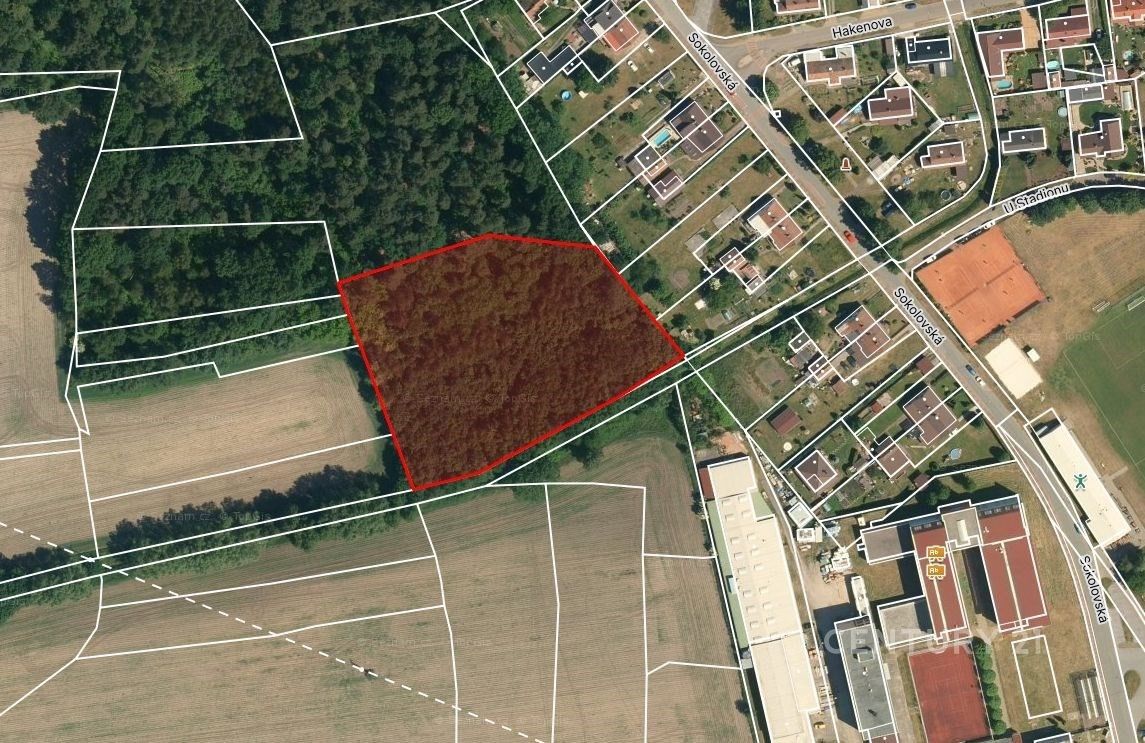Prodej pozemku 10362 m² - foto 3