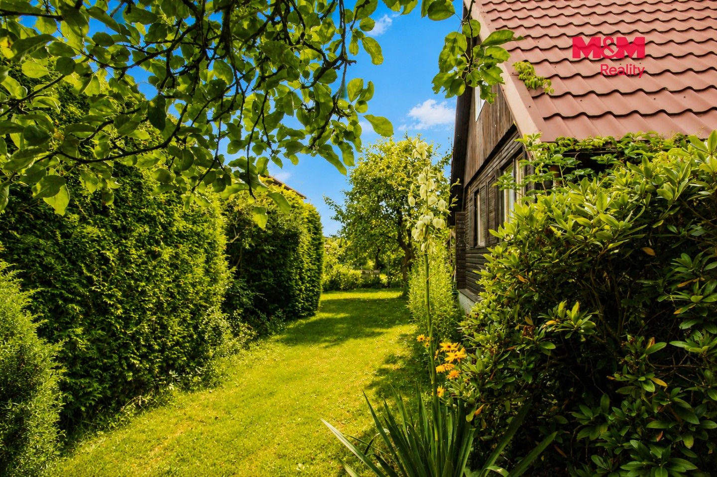 Pronájem domu 35 m² - foto 13