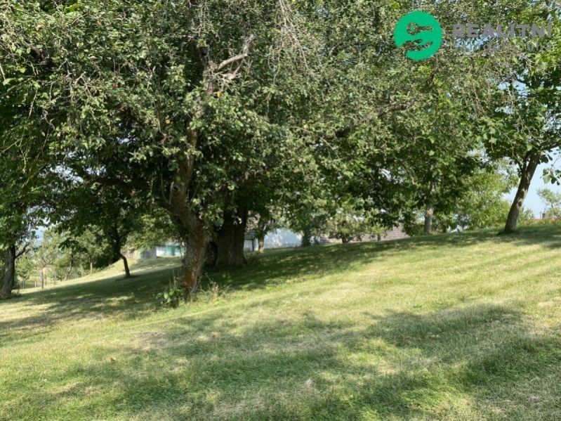 Prodej pozemku 3359 m² - foto 1