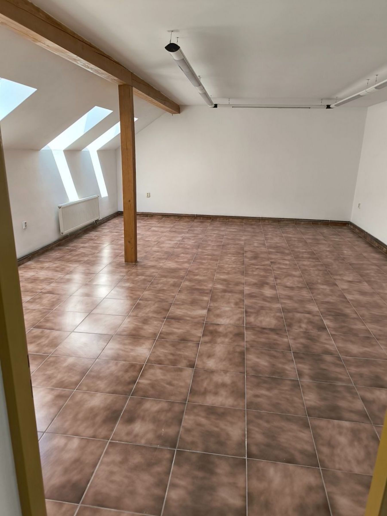 Pronájem komerčního prostoru 4200 m² - foto 3