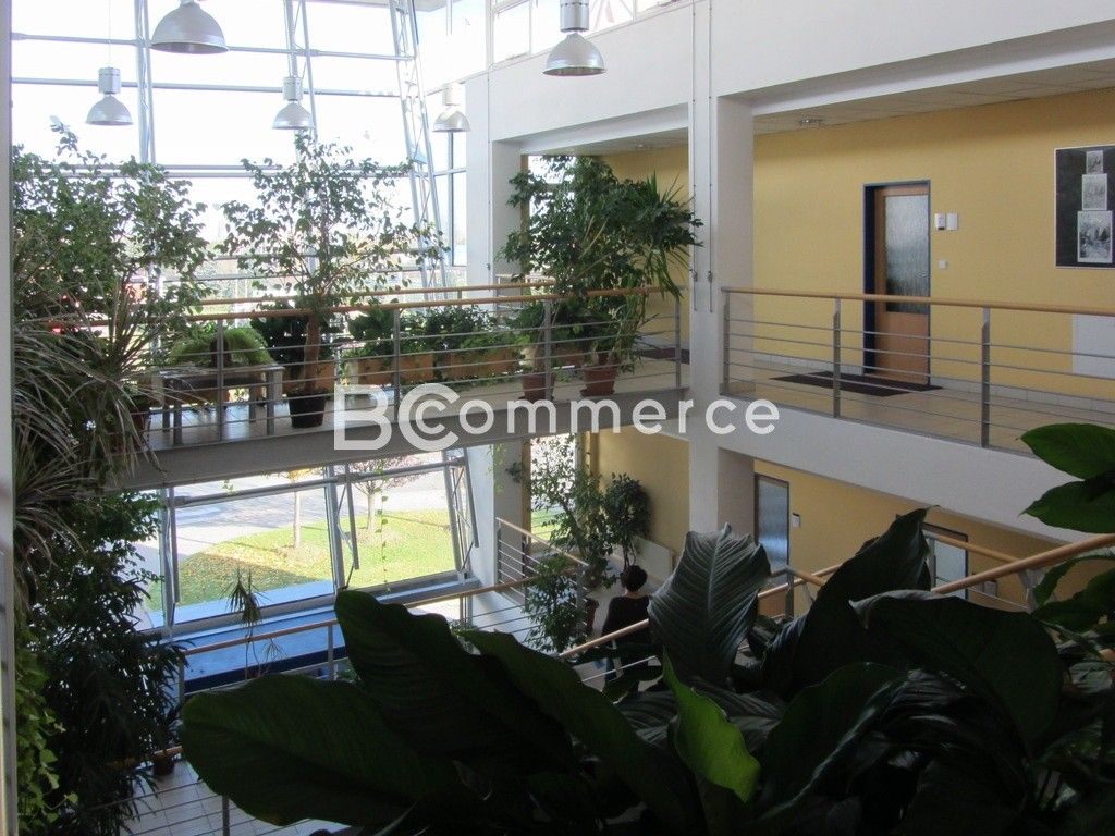 Pronájem komerčního prostoru 24 m² - foto 8