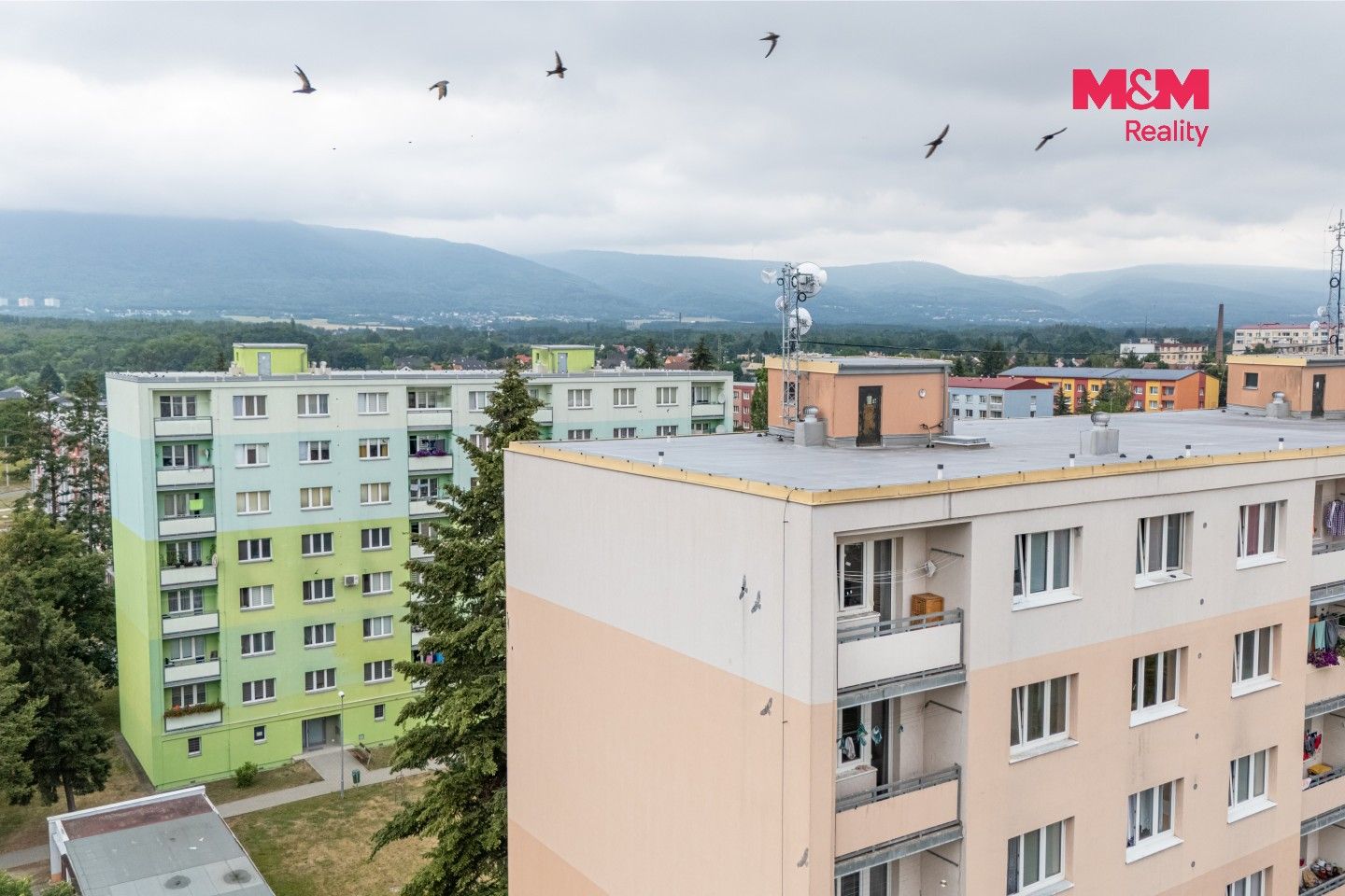Prodej bytu 2+1 53 m² - foto 11