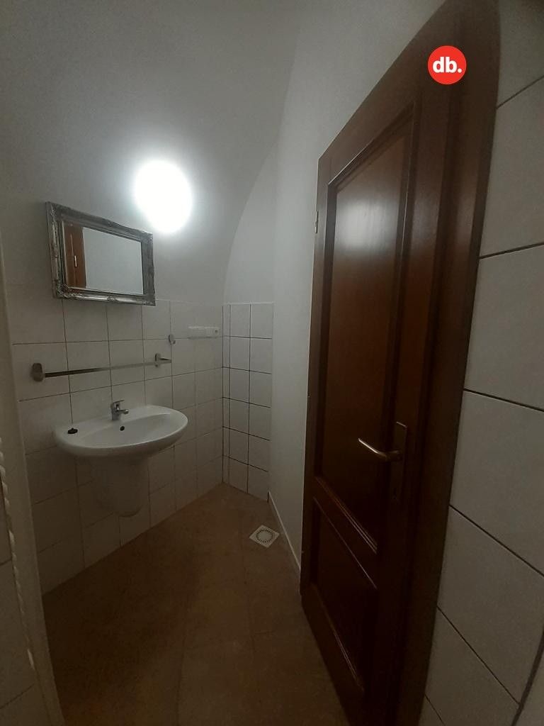 Pronájem bytu 2+1 75 m² - foto 13