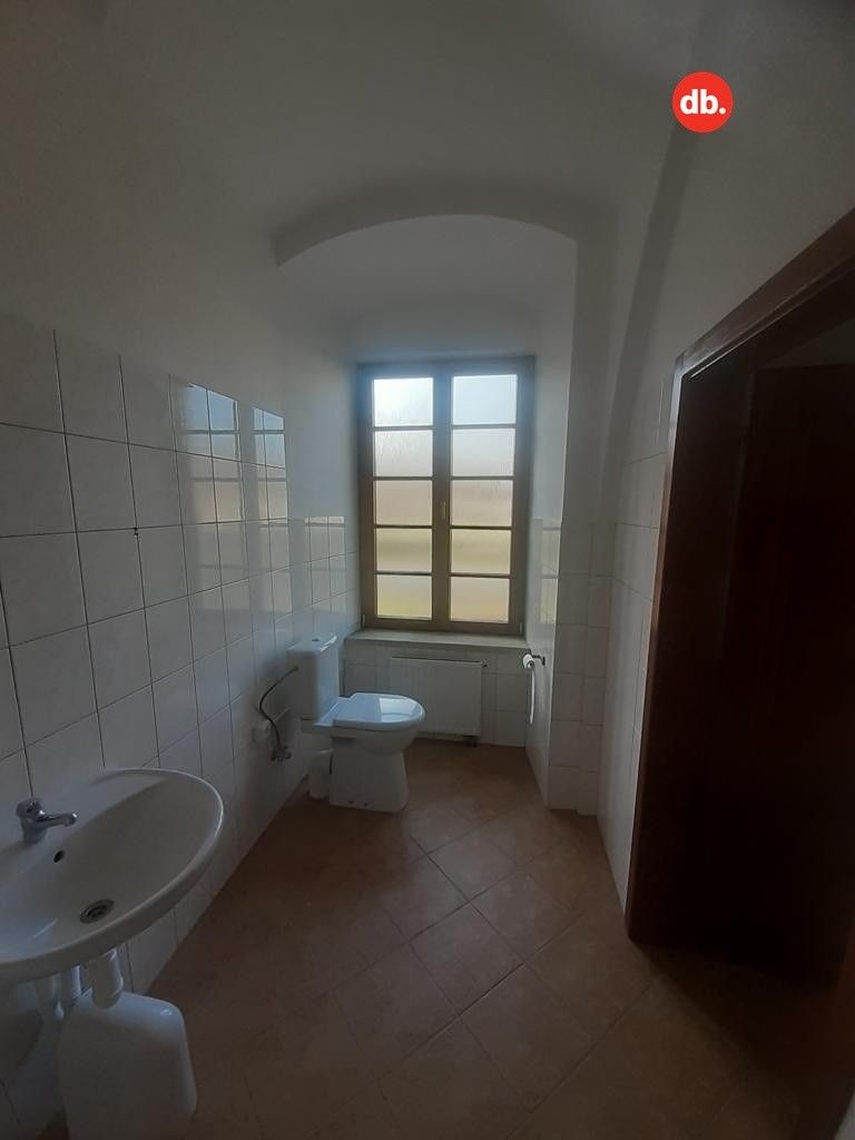 Pronájem bytu 2+1 75 m² - foto 14