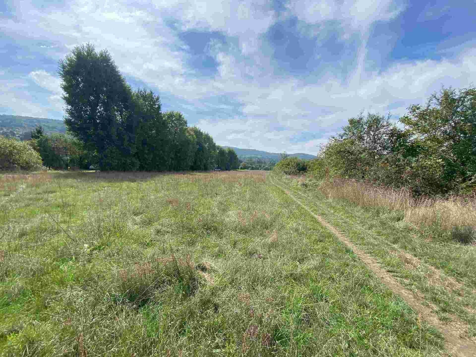 Prodej nemovitosti 601 m² - foto 1