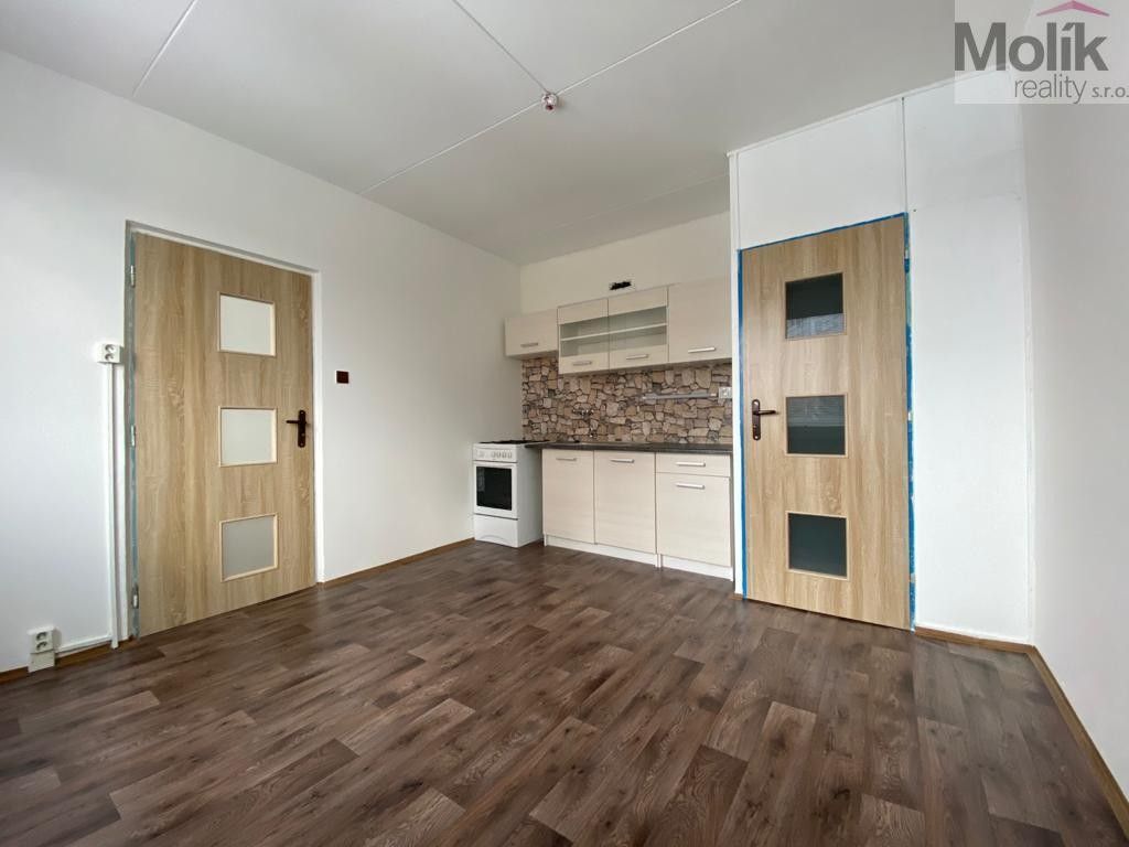Pronájem bytu 1+1 38 m² - foto 5