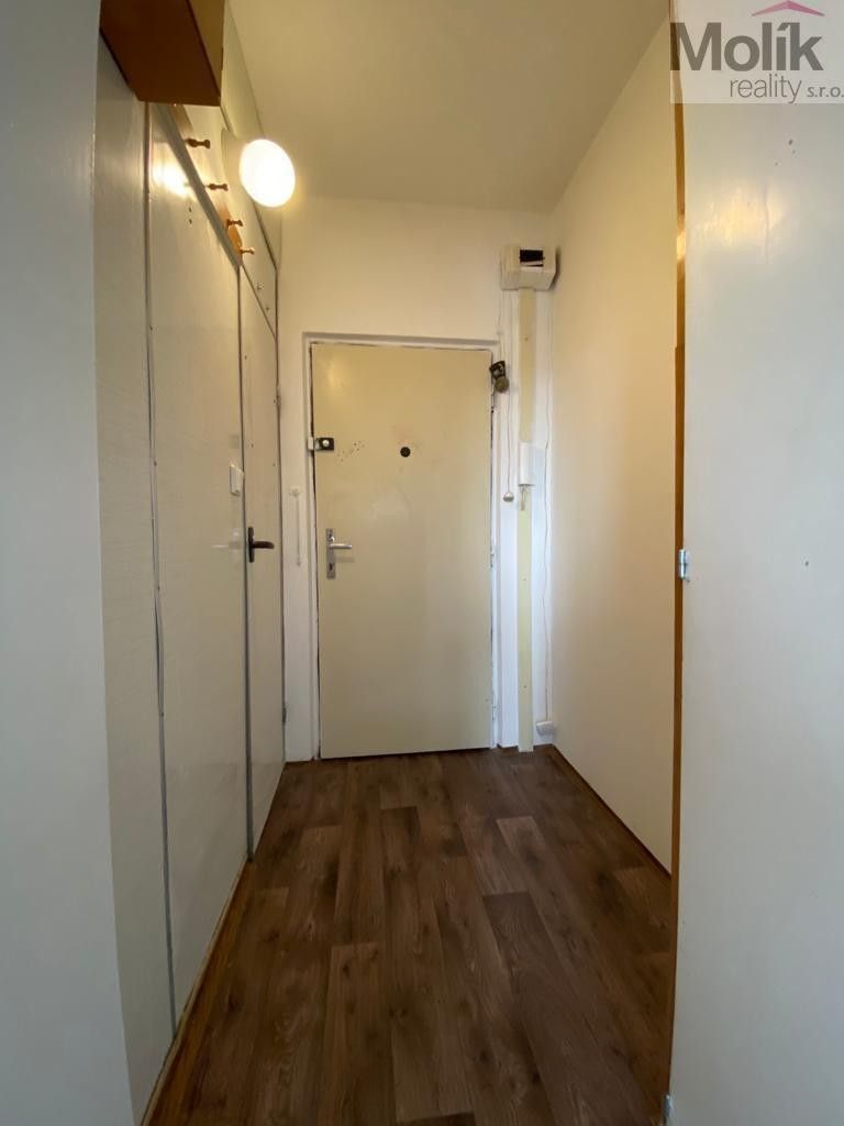Pronájem bytu 1+1 38 m² - foto 11