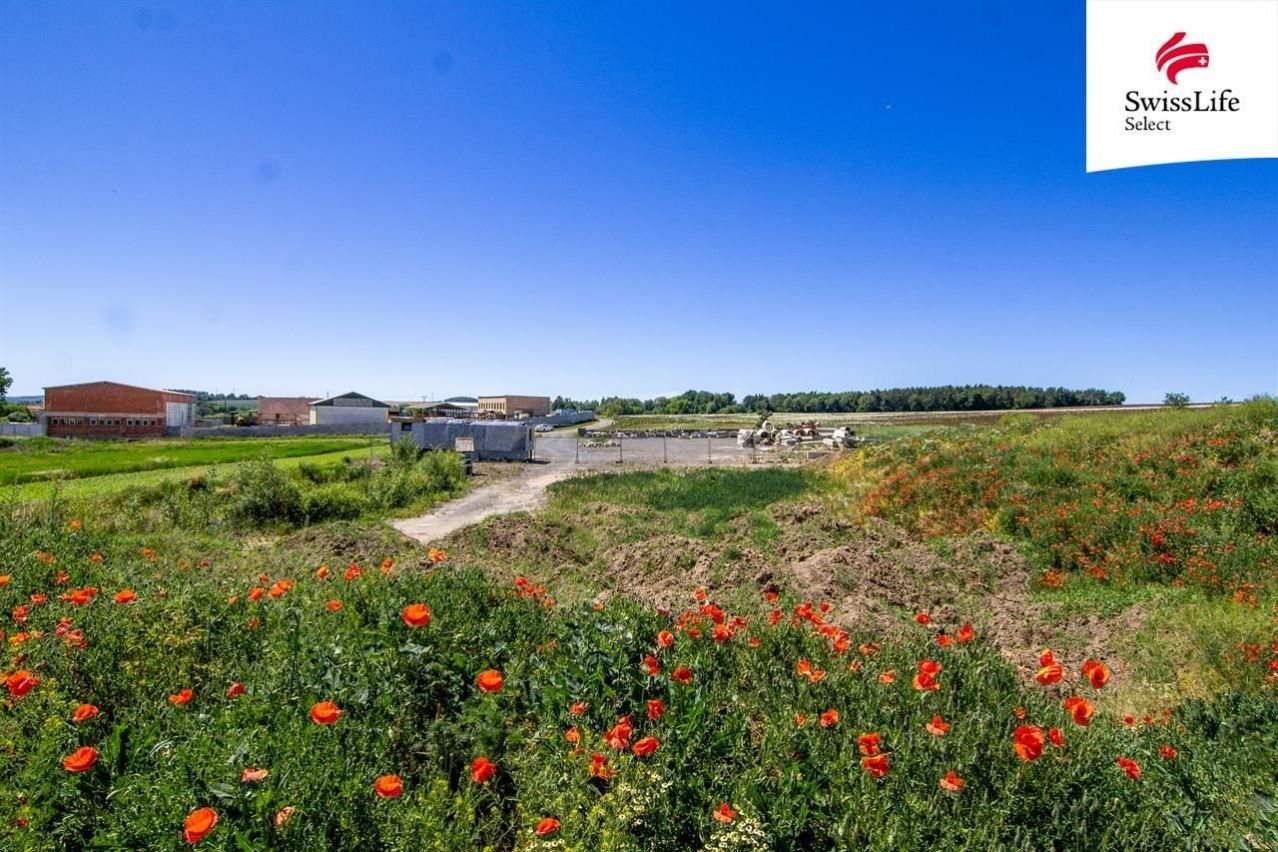 Prodej pozemku 15440 m² - foto 4