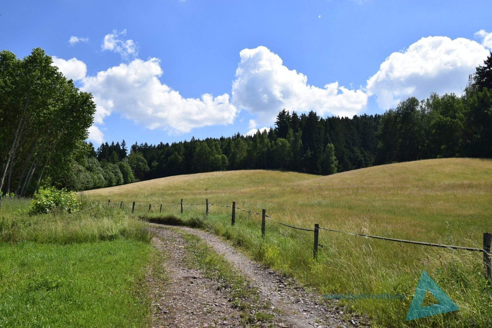 Prodej pozemku 24781 m² - foto 5