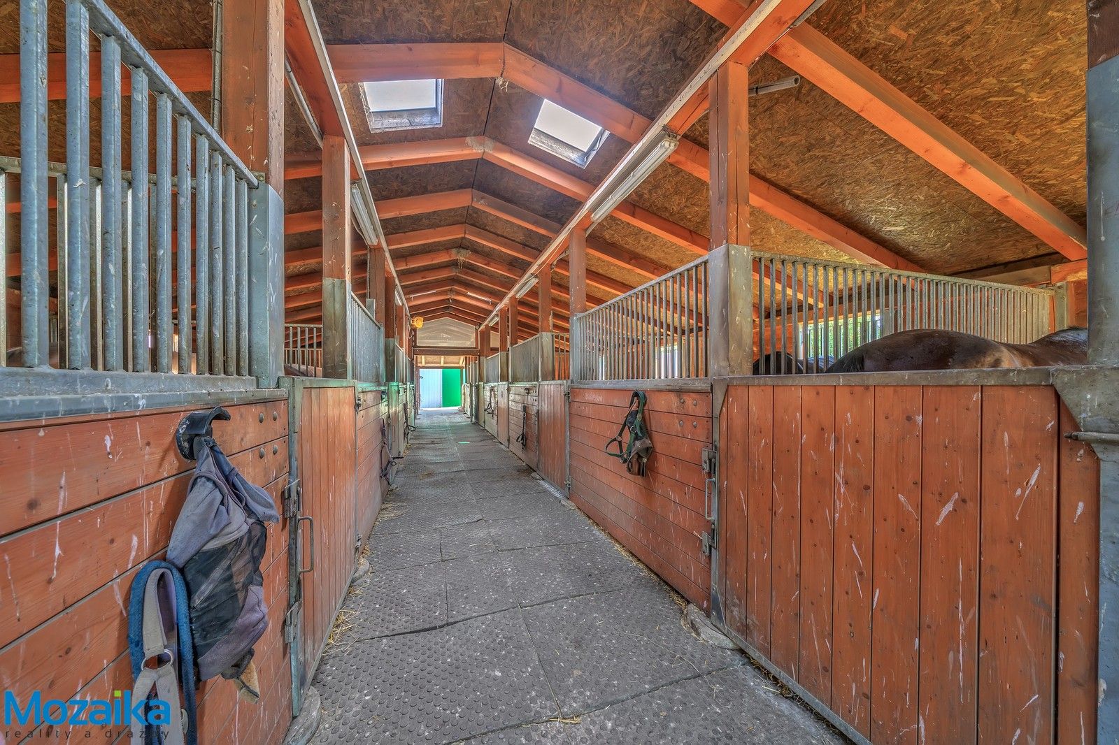 Pronájem domu 358 m² - foto 15