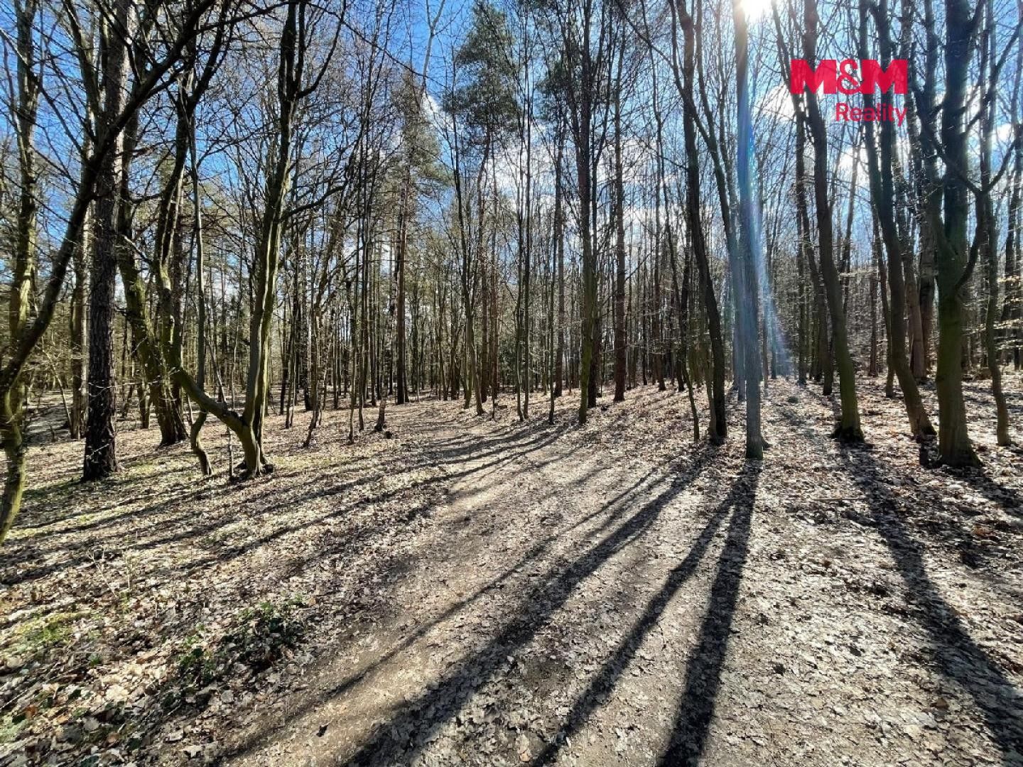 Prodej pozemku 960 m² - foto 5