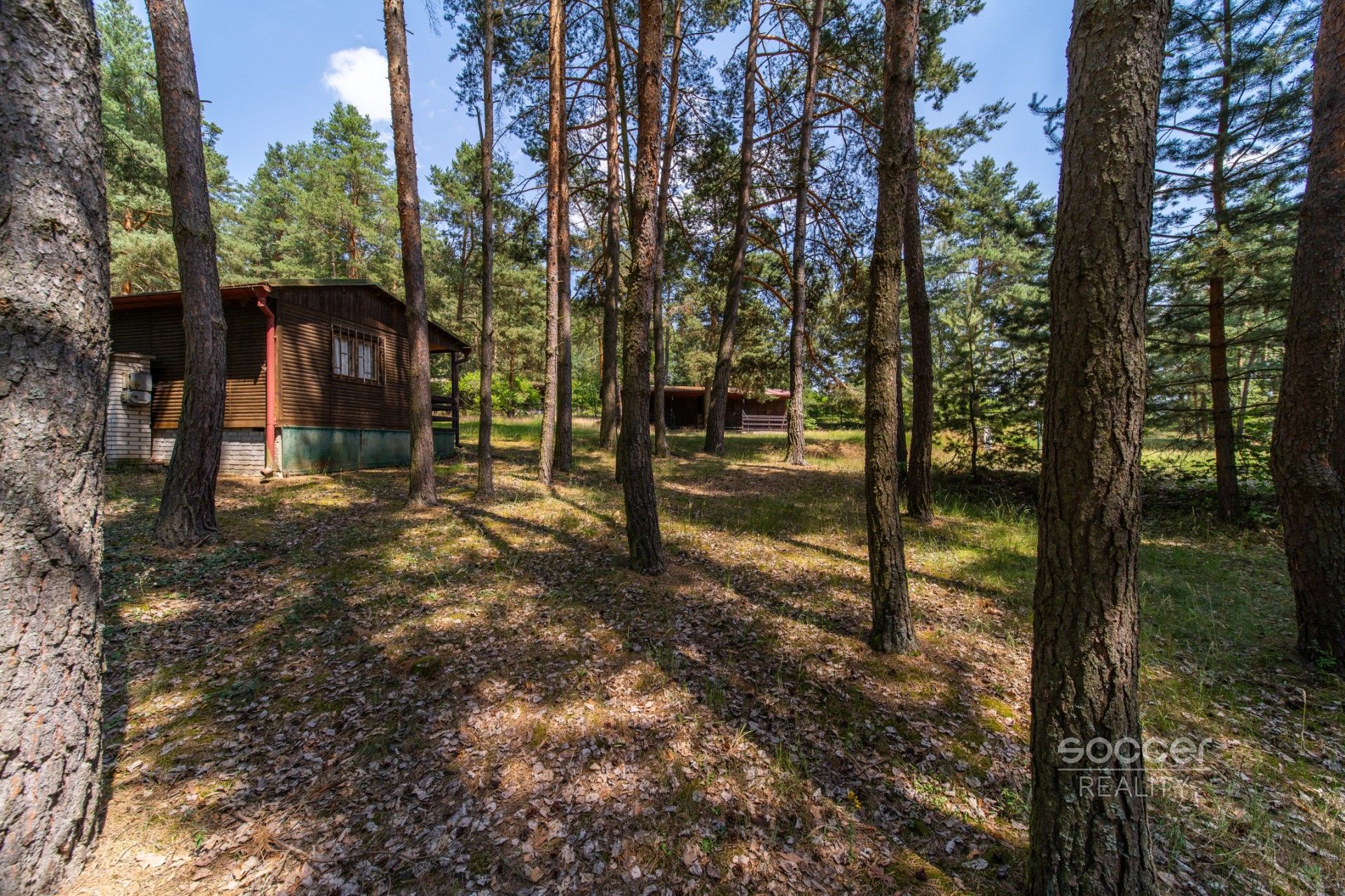 Prodej pozemku 6225 m² - foto 12