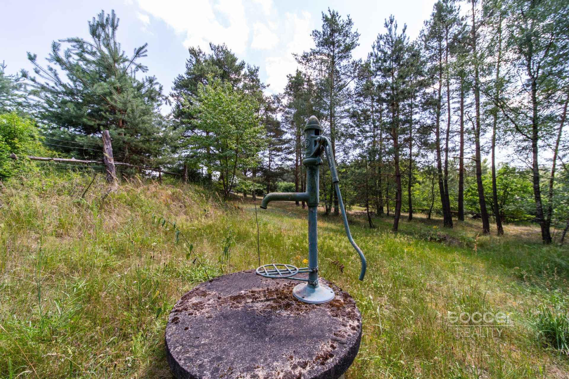 Prodej pozemku 6225 m² - foto 11