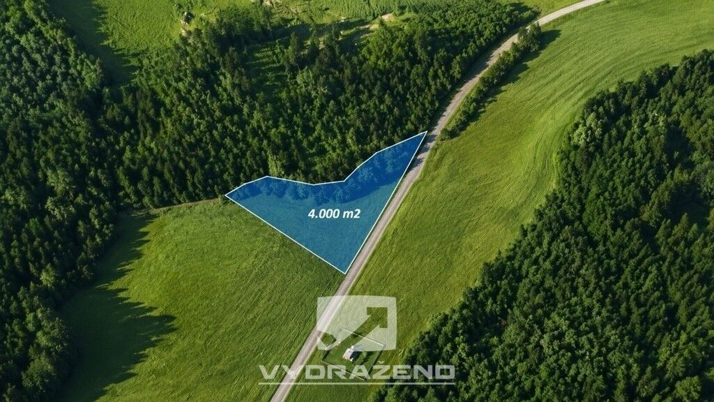 Prodej pozemku 4000 m² - foto 1