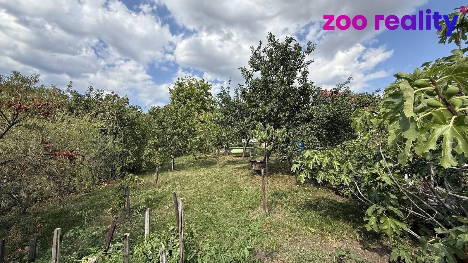 Prodej pozemku 479 m² - foto 4