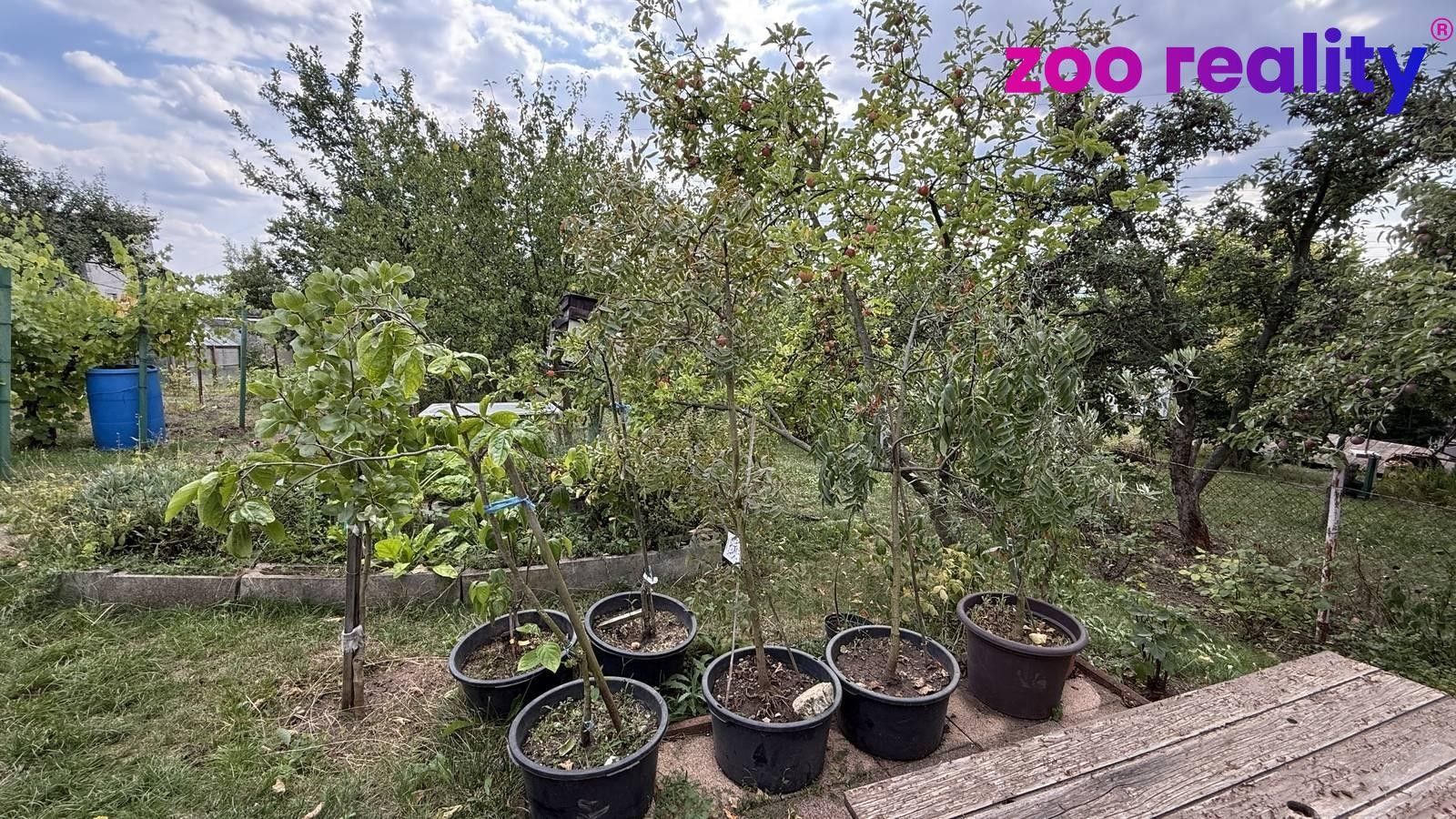 Prodej pozemku 479 m² - foto 10