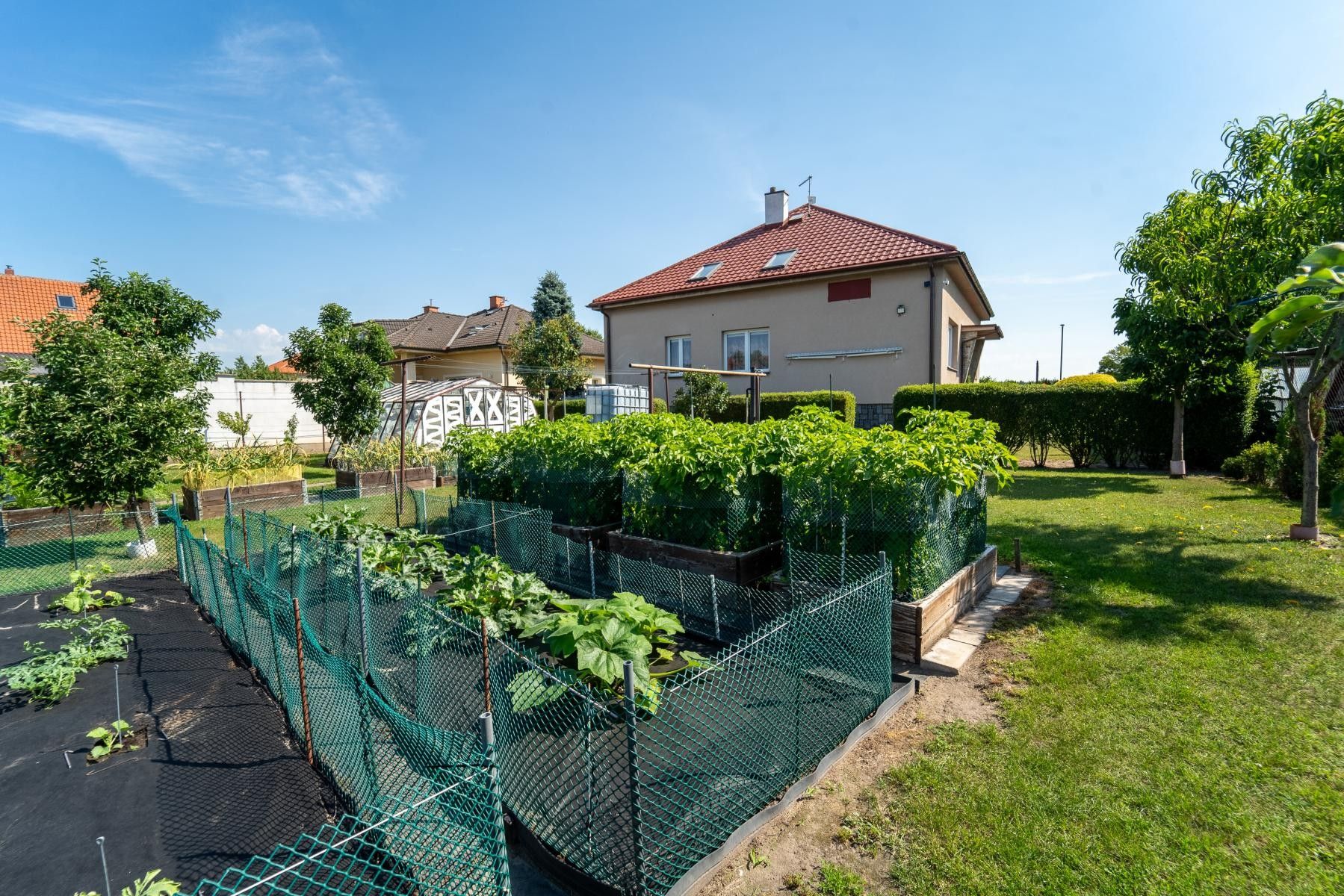 Prodej domu 340 m² - foto 11