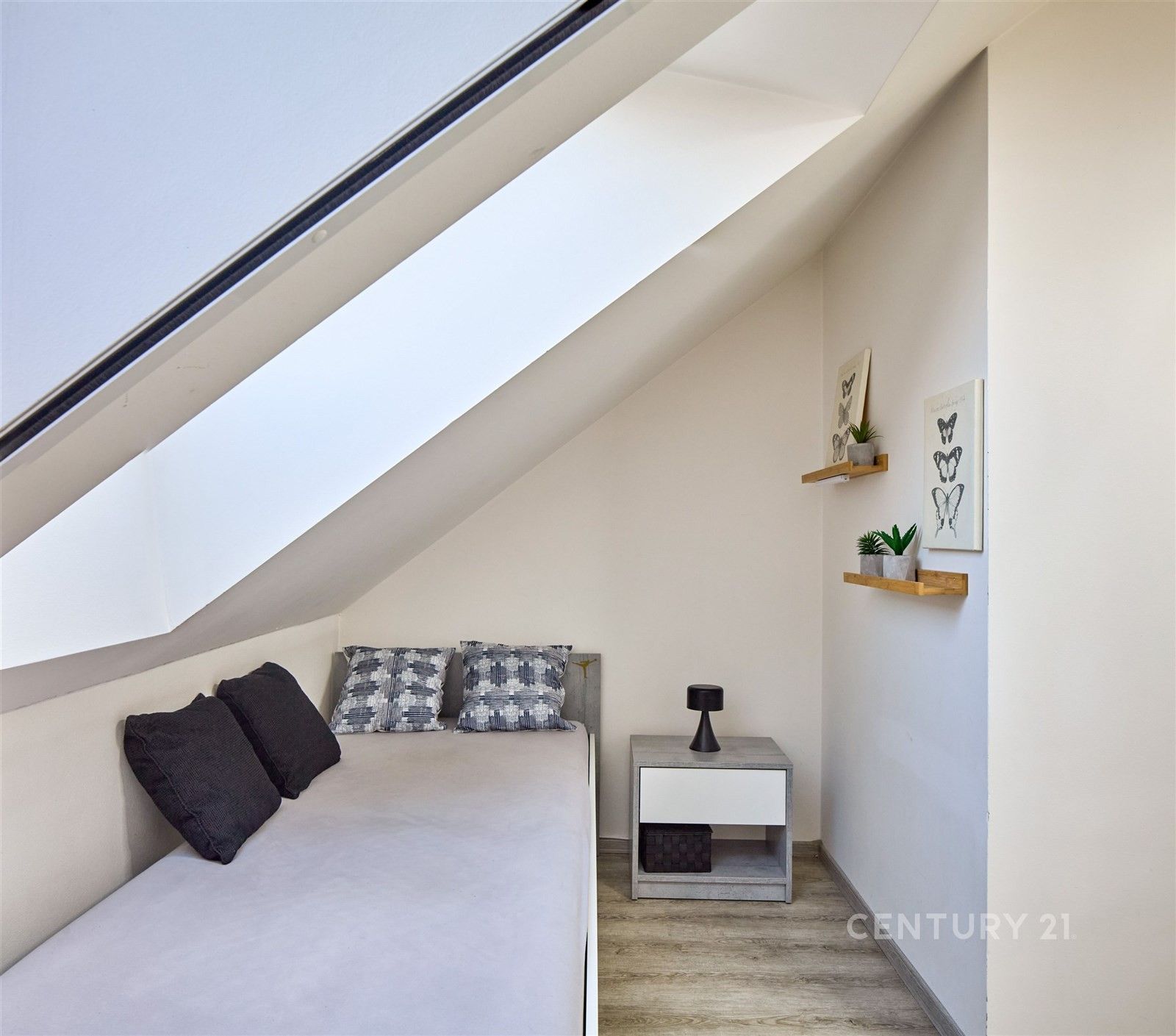 Prodej domu 260 m² - foto 24