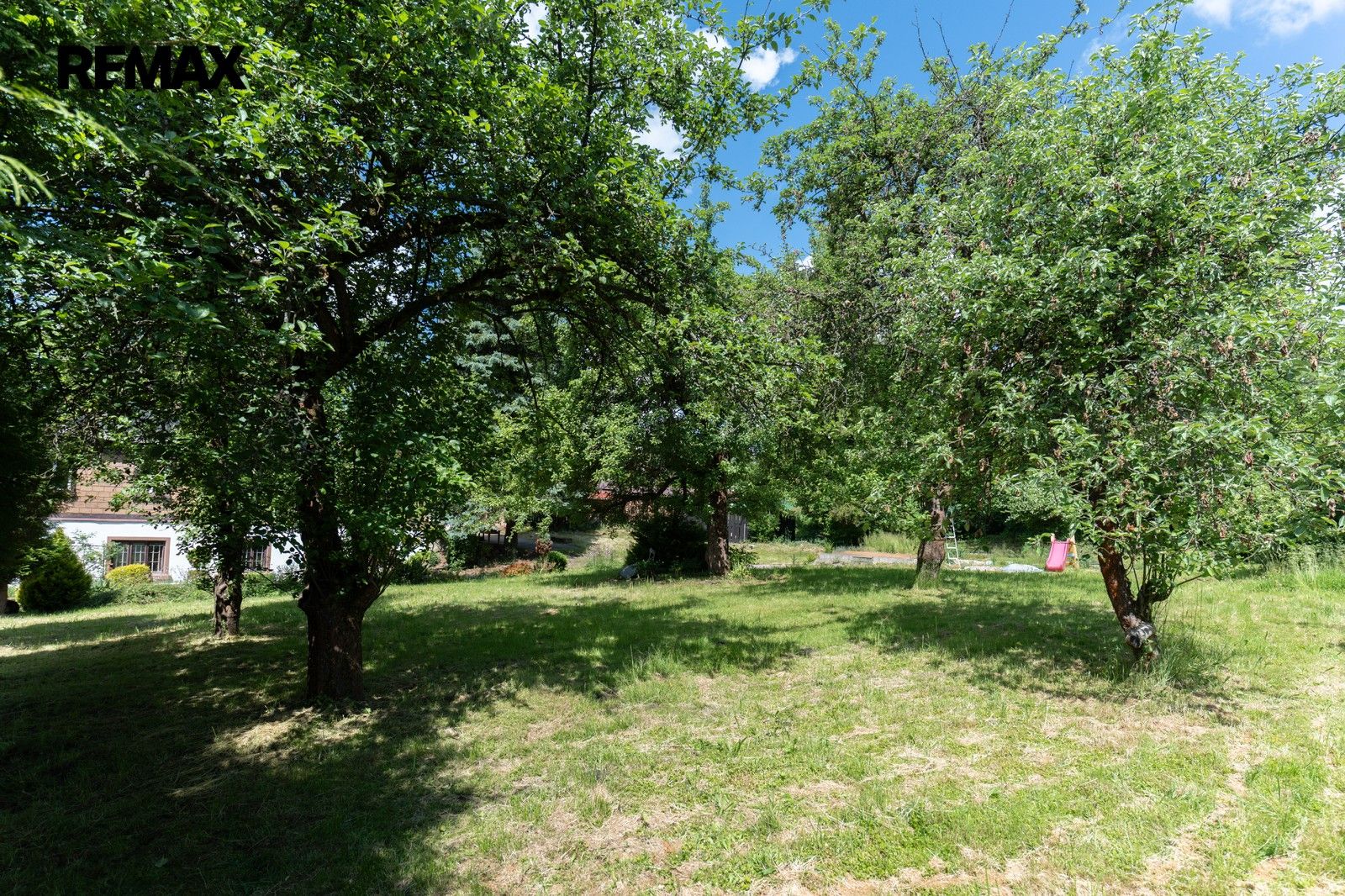 Prodej domu 500 m² - foto 9