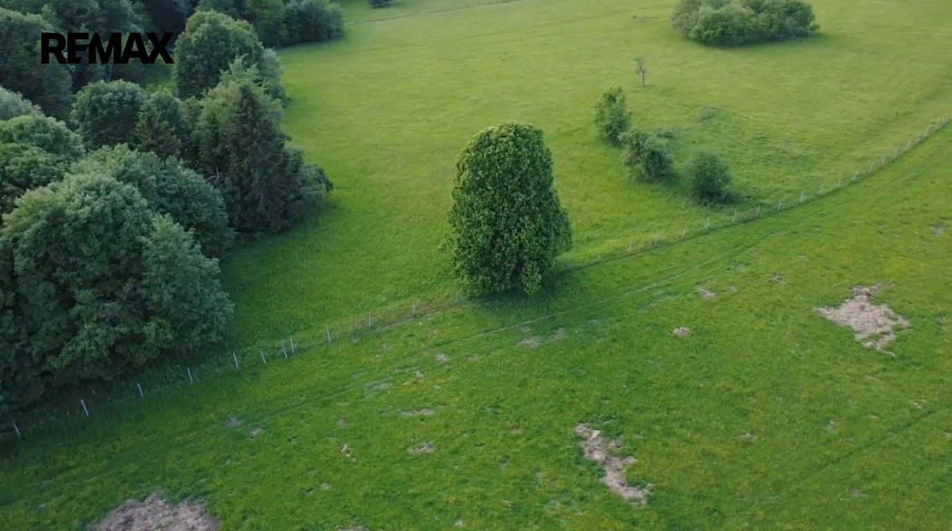 Prodej pozemku 2281 m² - foto 3