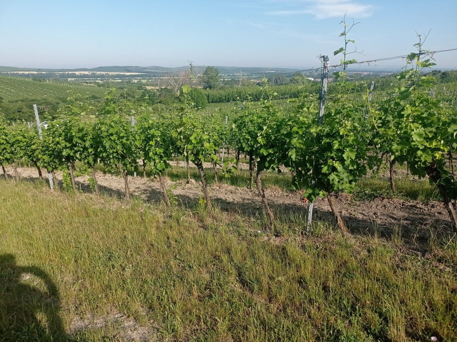 Prodej nemovitosti 12285 m² - foto 4