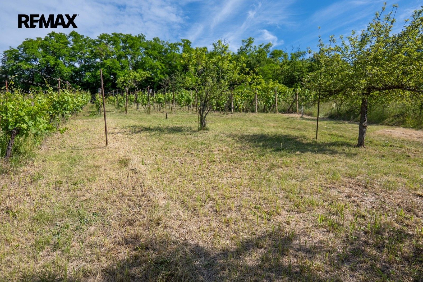 Prodej pozemku 2403 m² - foto 11