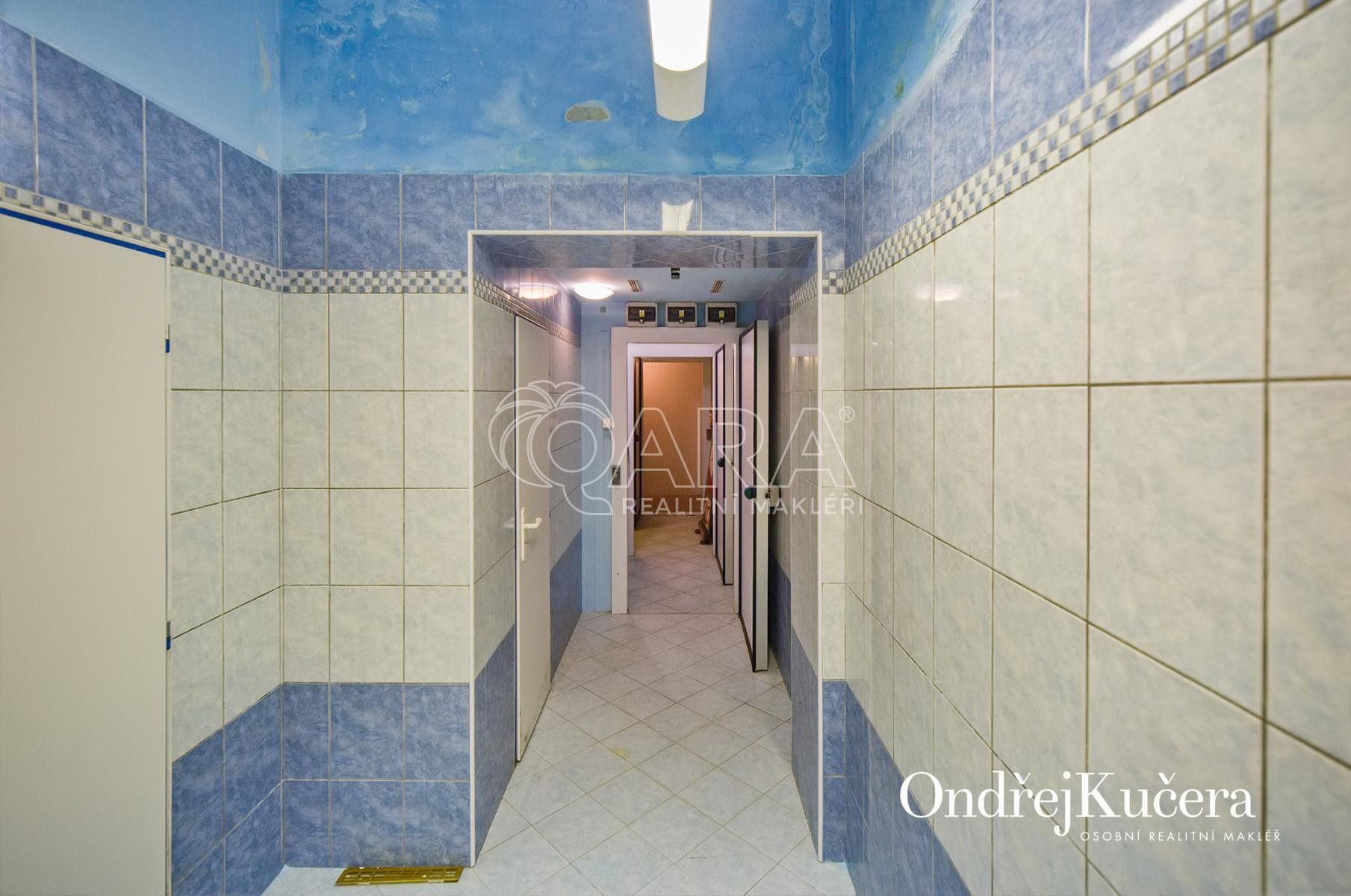 Prodej komerčního prostoru 832 m² - foto 11