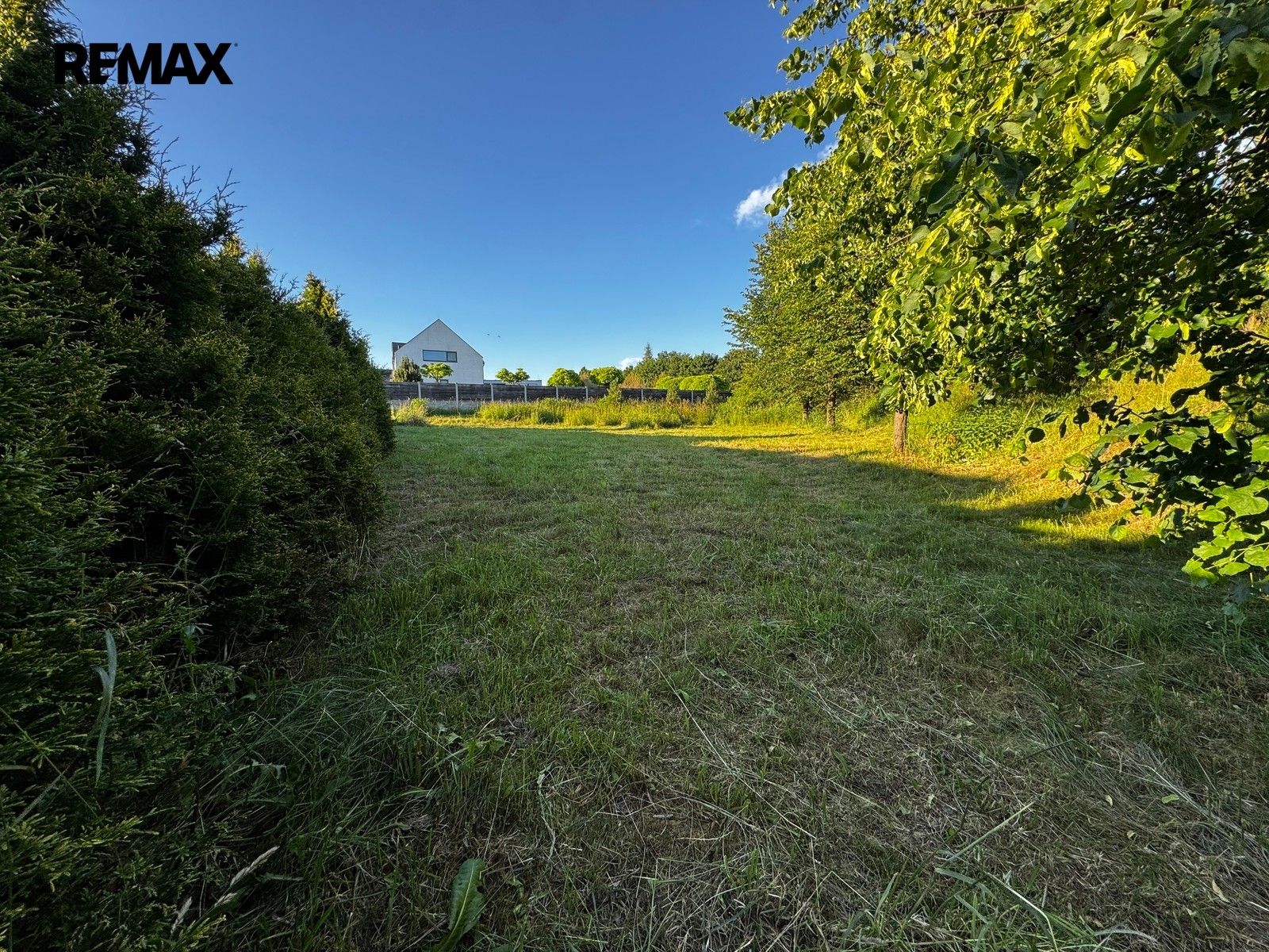 Prodej pozemku 1267 m² - foto 4