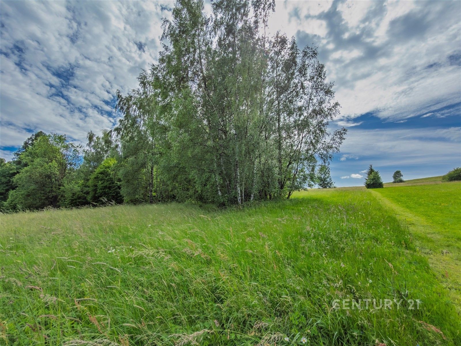 Prodej pozemku 10041 m² - foto 11