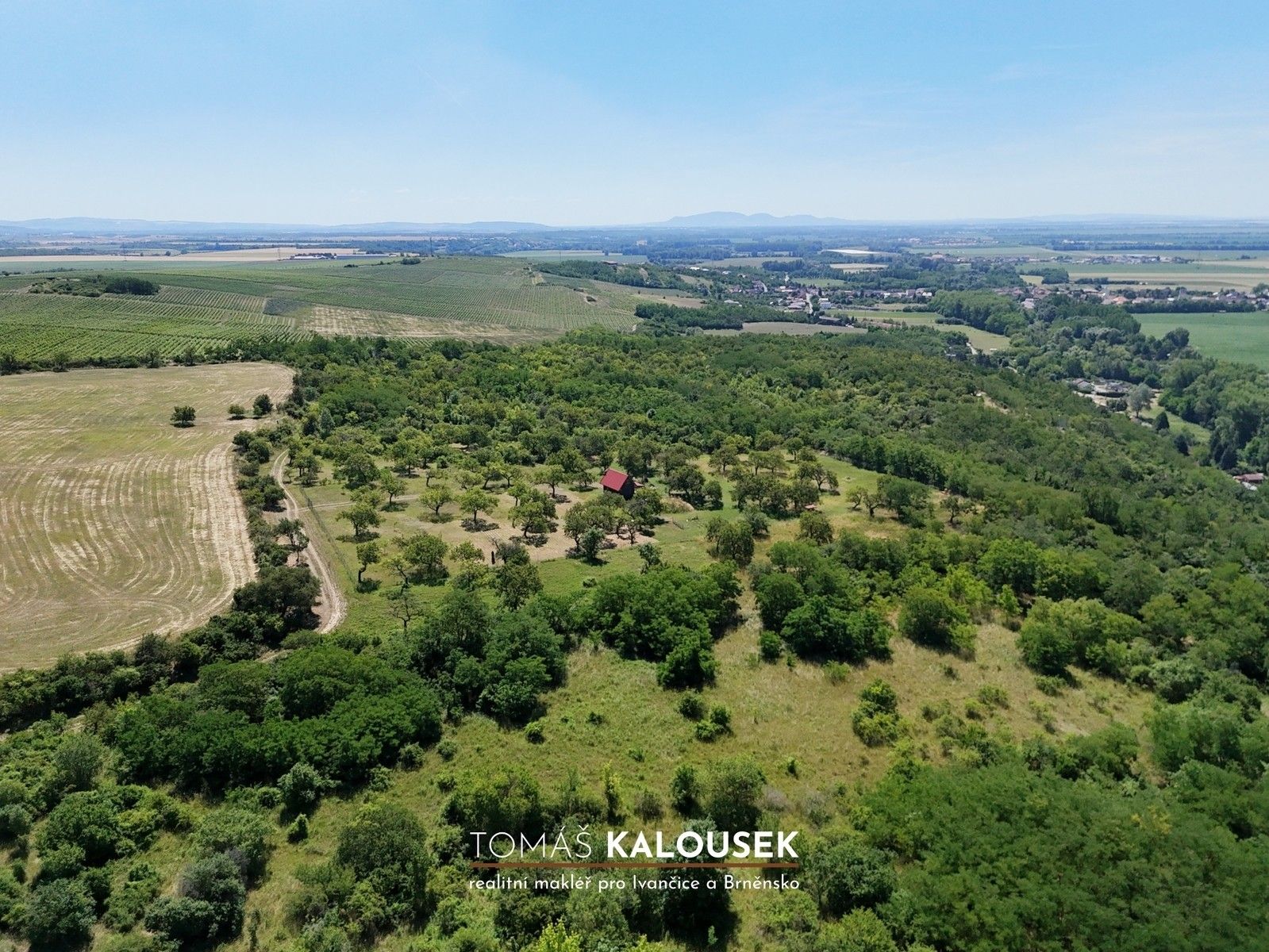 Prodej pozemku 4478 m² - foto 11