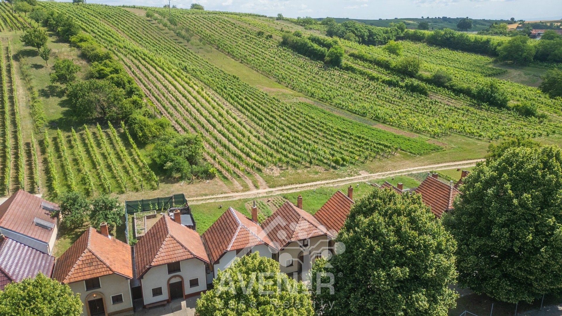 Prodej nemovitosti 84 m² - foto 3