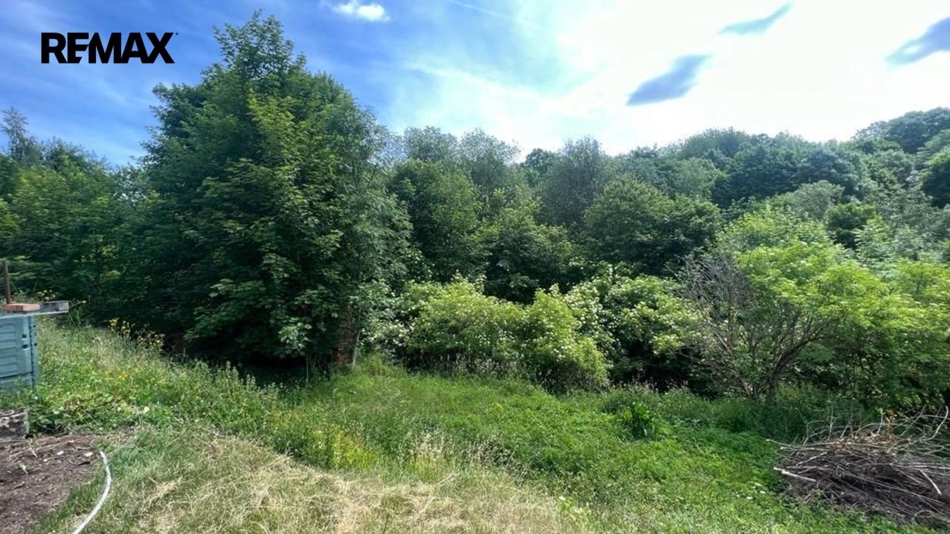 Prodej pozemku 3514 m² - foto 6