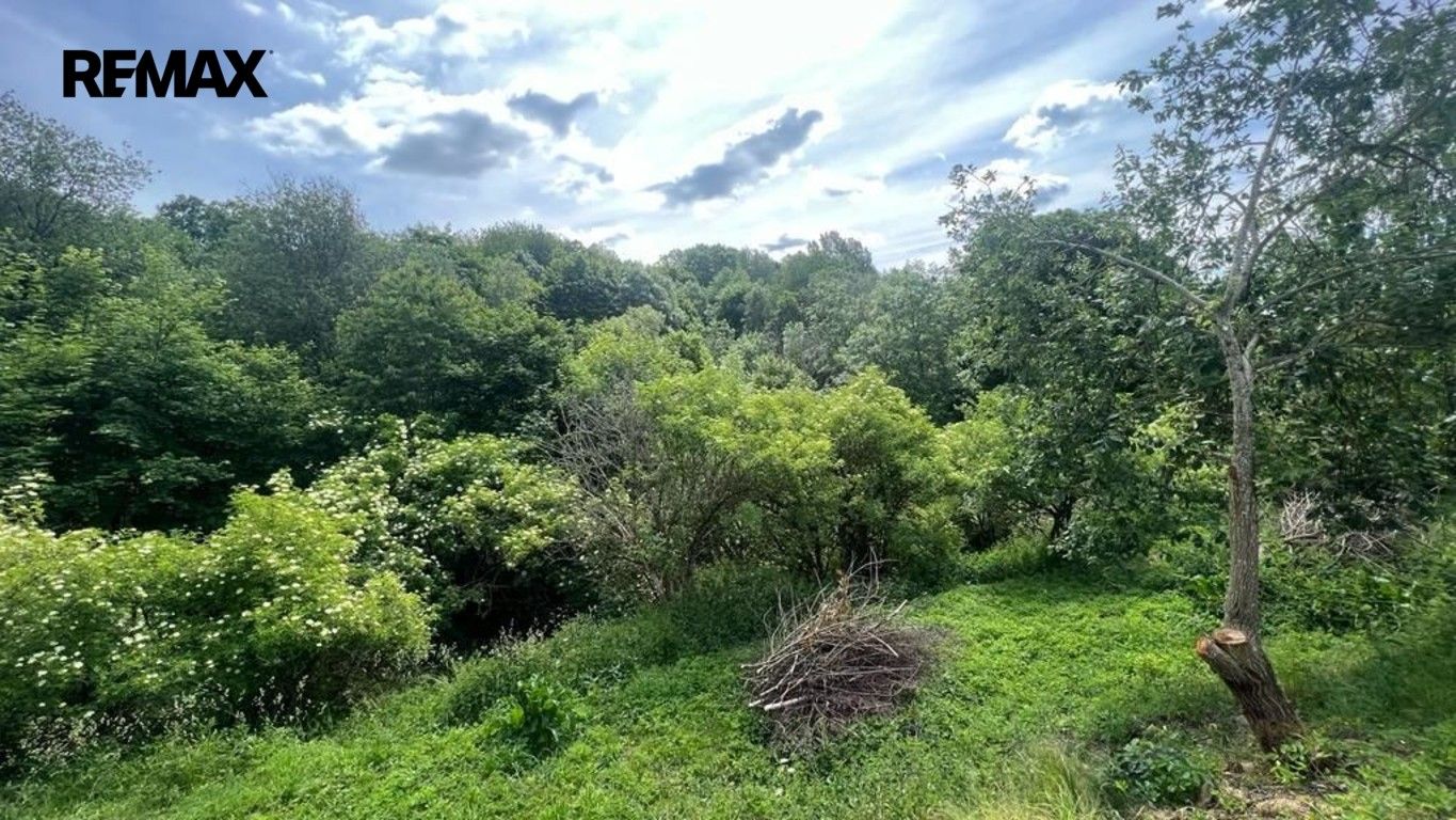 Prodej pozemku 3514 m² - foto 7