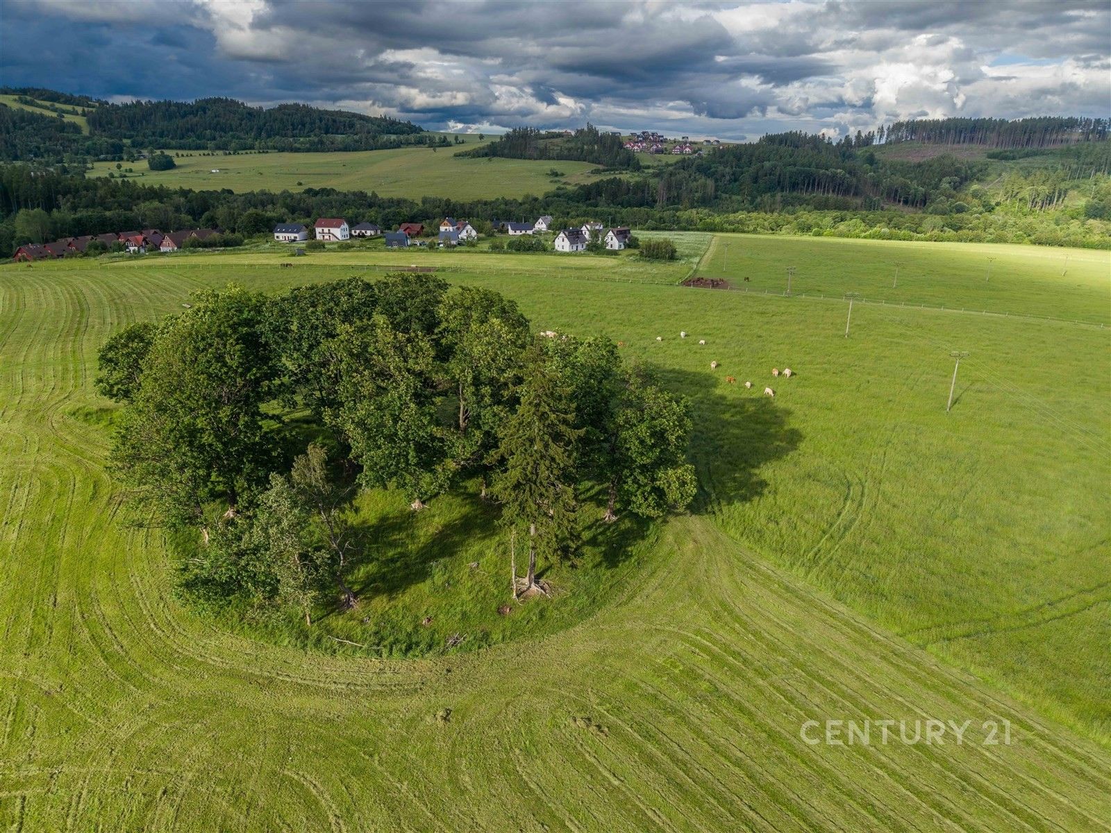 Prodej pozemku 1559 m² - foto 15