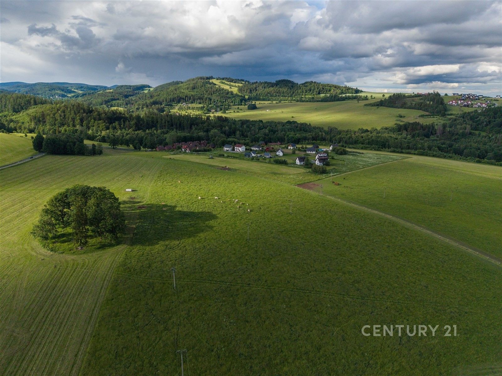 Prodej pozemku 1559 m² - foto 17