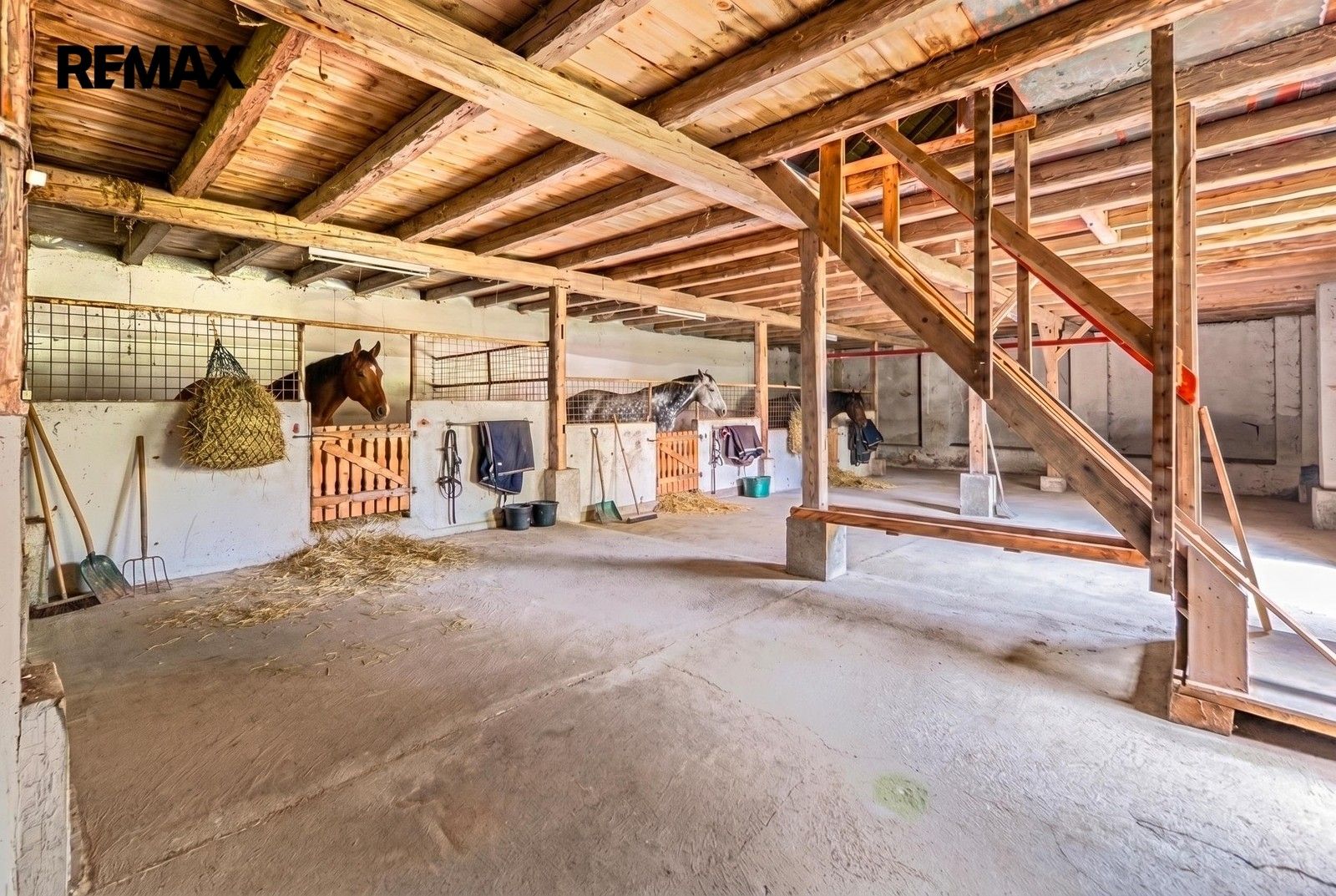 Prodej pozemku 21306 m² - foto 13