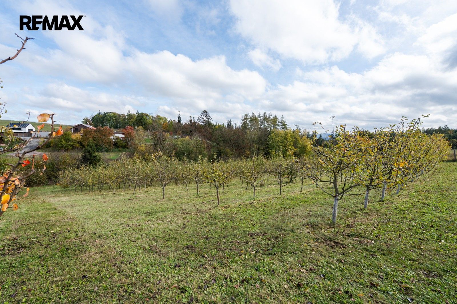Prodej pozemku 3472 m² - foto 14