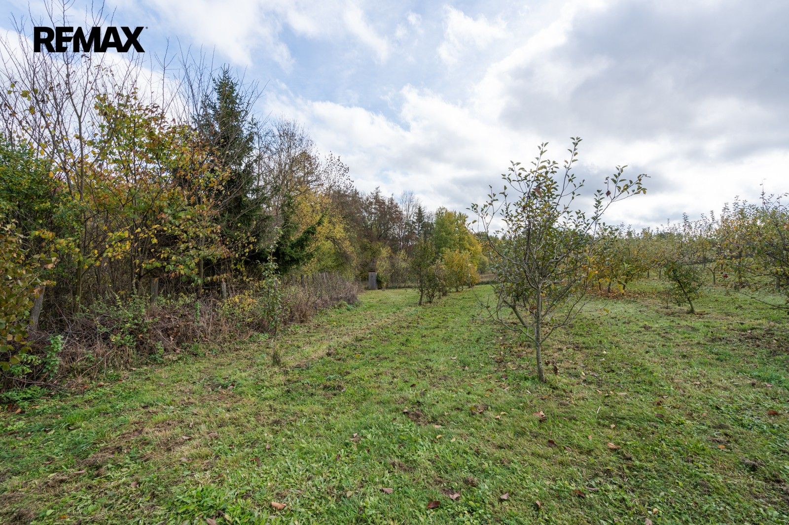 Prodej pozemku 3472 m² - foto 16
