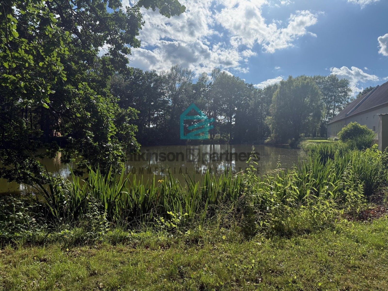 Prodej domu 1600 m² - foto 15