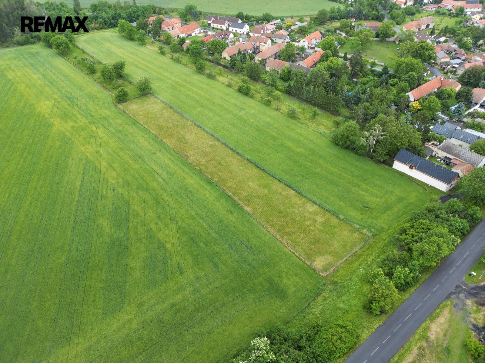 Prodej nemovitosti 3211 m² - foto 4