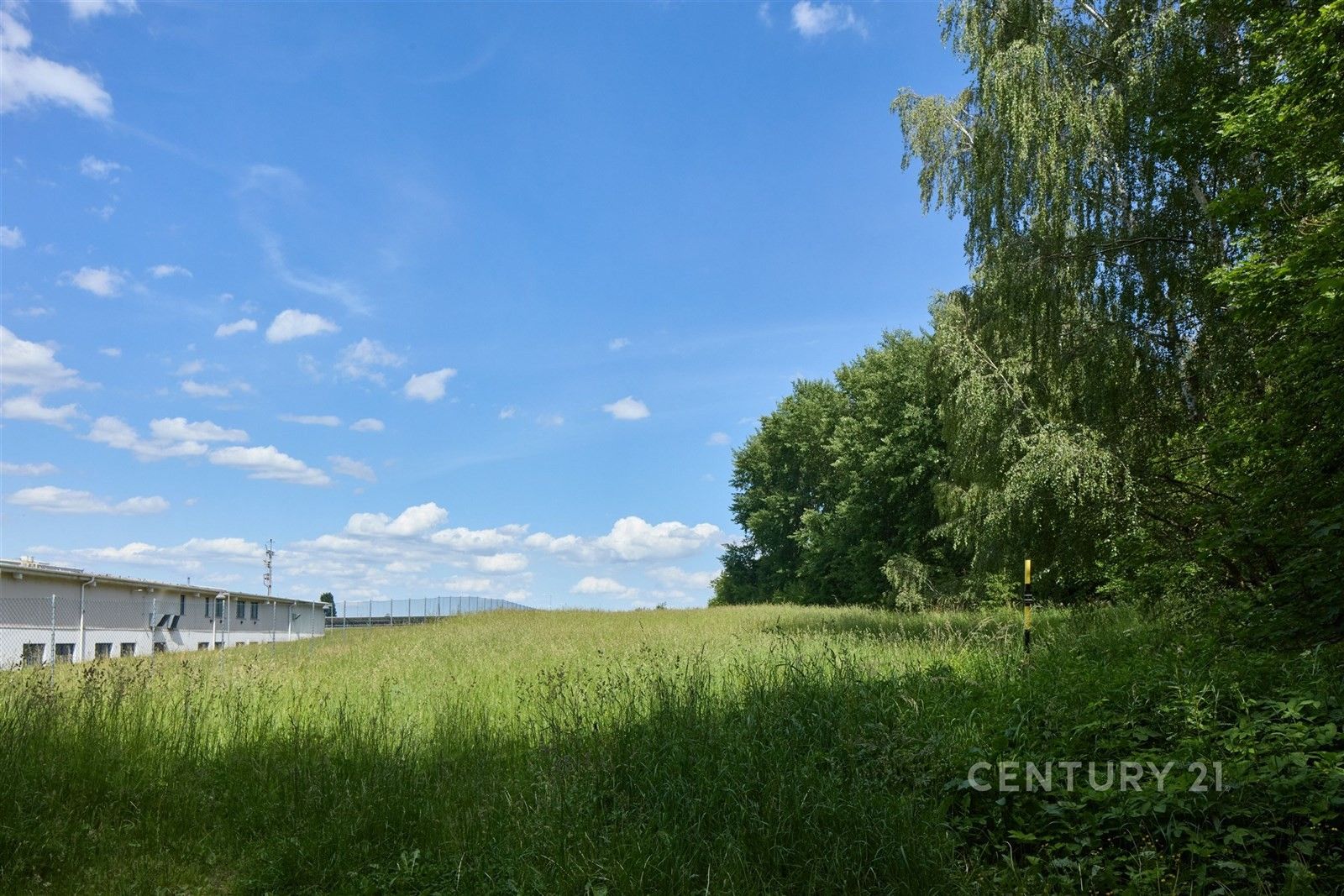 Prodej pozemku 5410 m² - foto 8