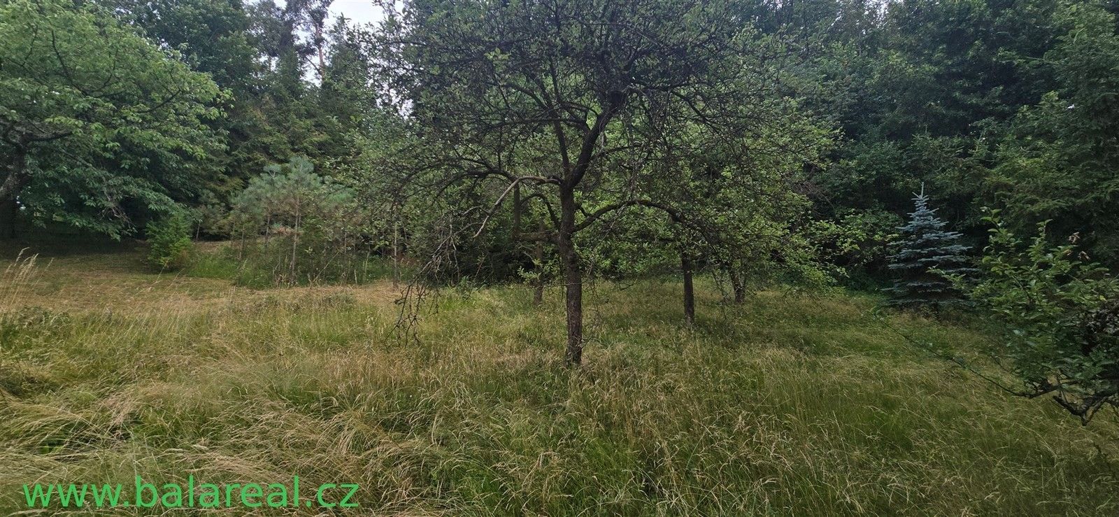 Prodej domu 130 m² - foto 11