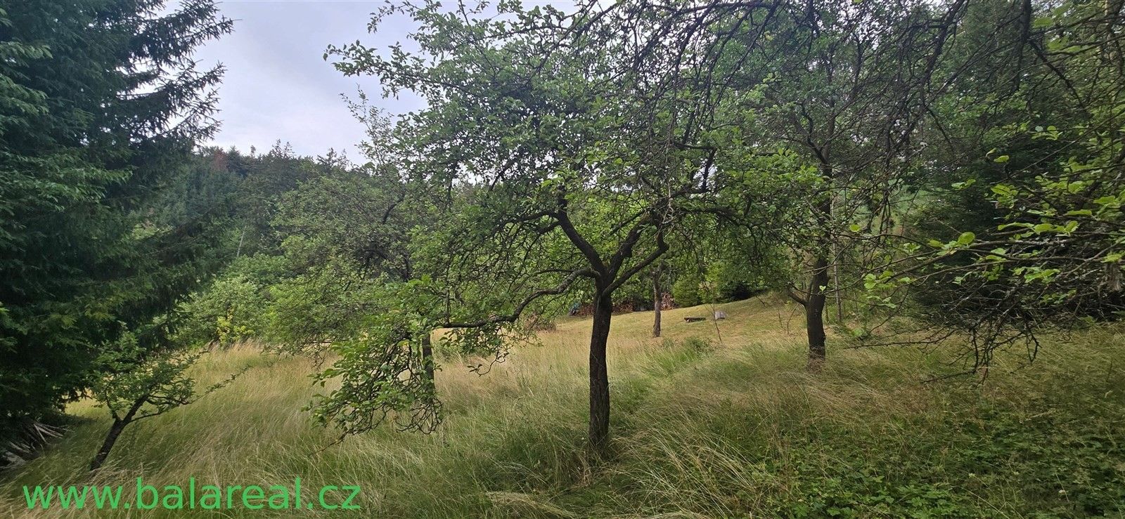 Prodej domu 130 m² - foto 13