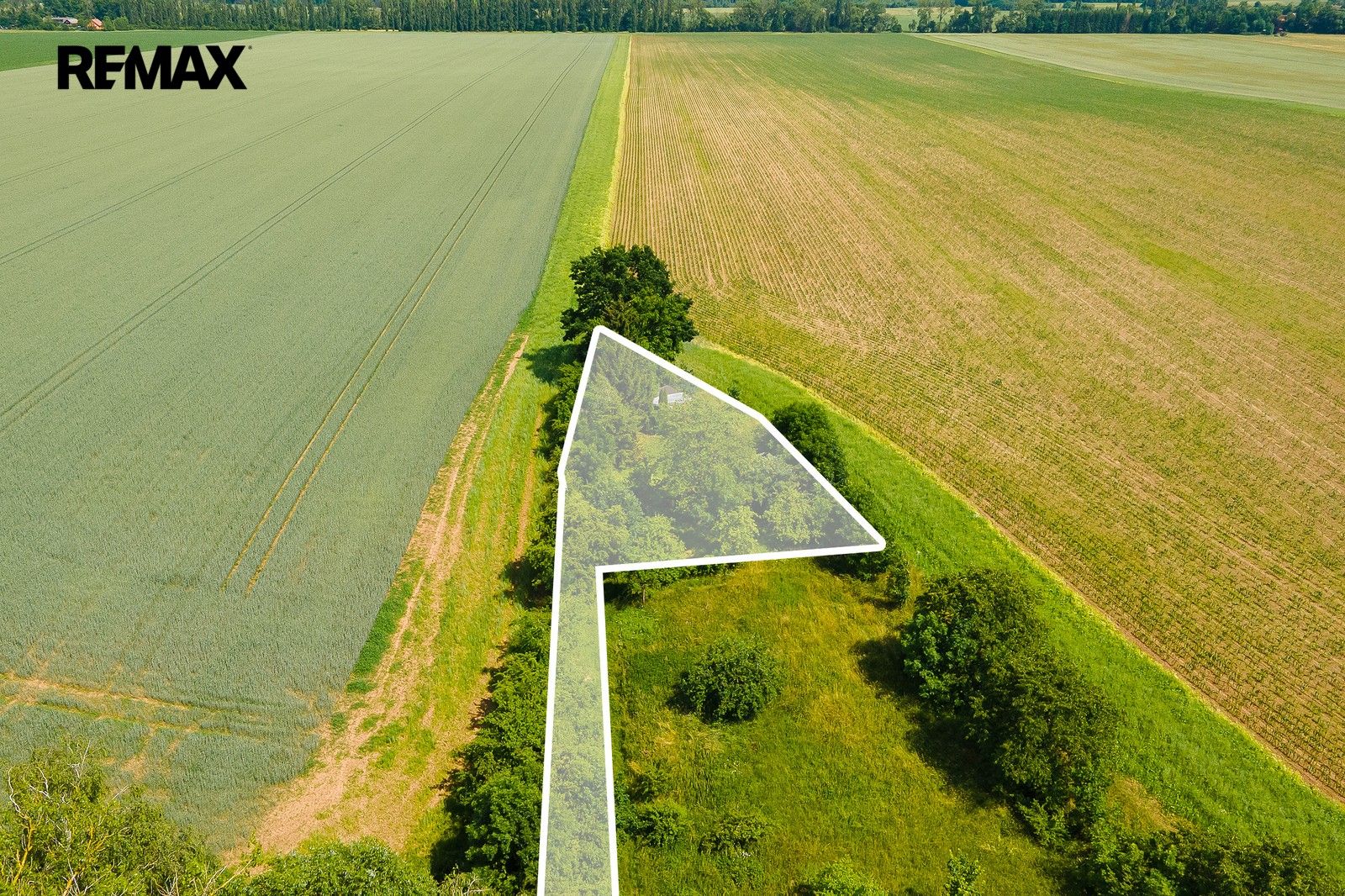 Prodej pozemku 600 m² - foto 13