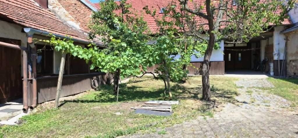 Prodej domu 350 m² - foto 3