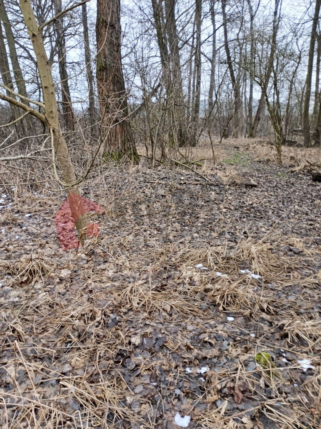 Prodej nemovitosti - foto 5