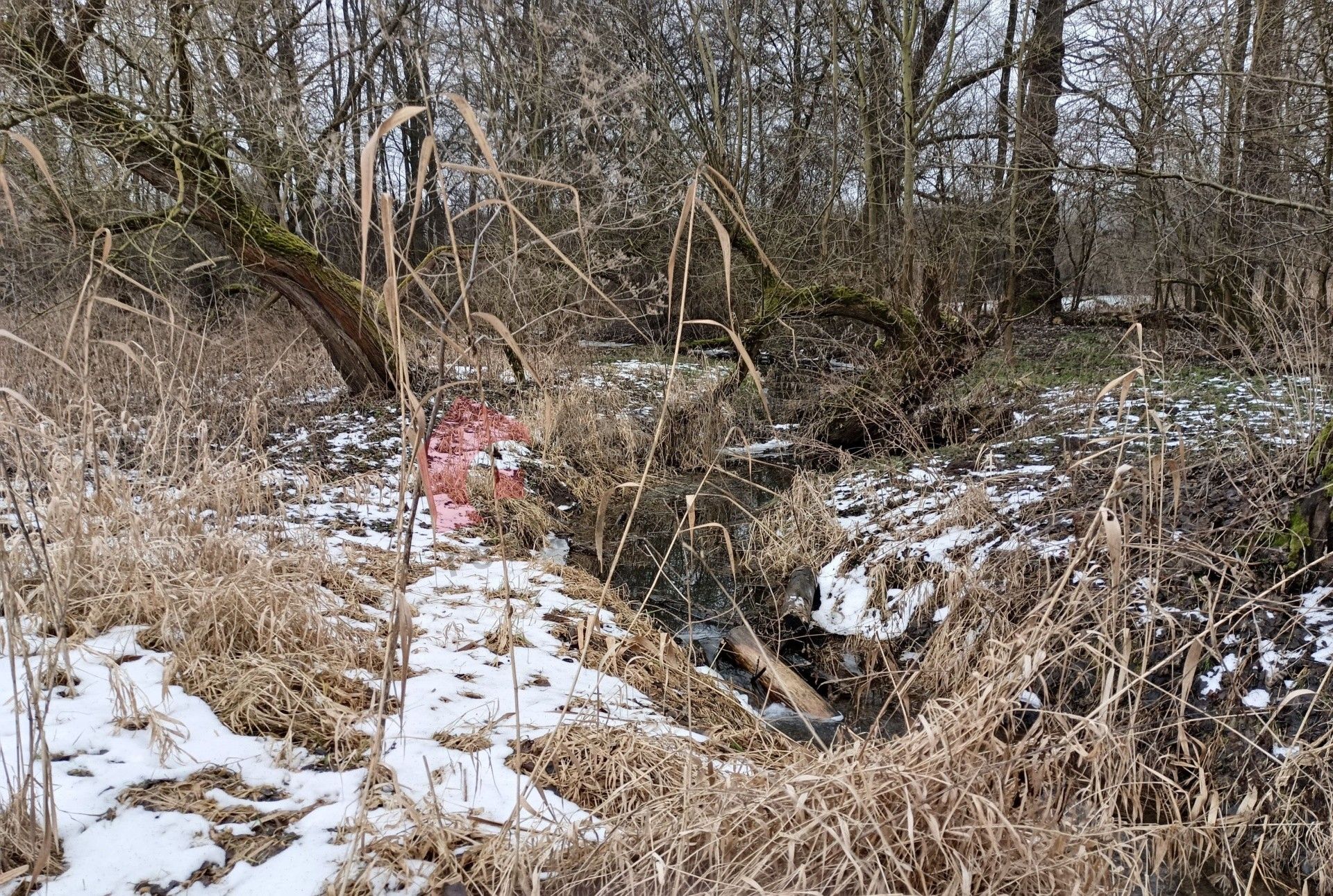 Prodej nemovitosti - foto 4