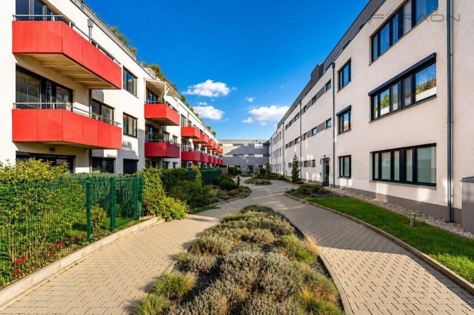 Pronájem bytu 1+kk 32 m² - foto 9