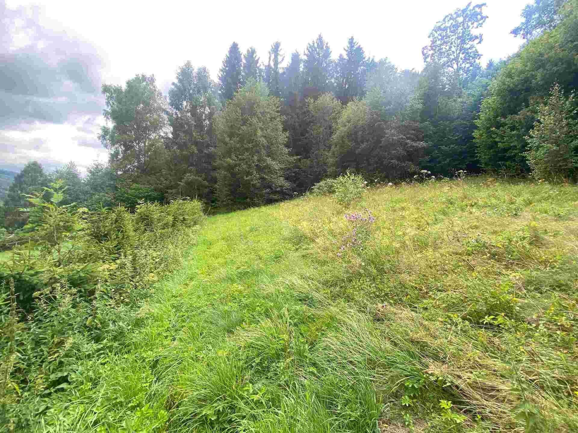 Prodej pozemku 1004 m² - foto 5